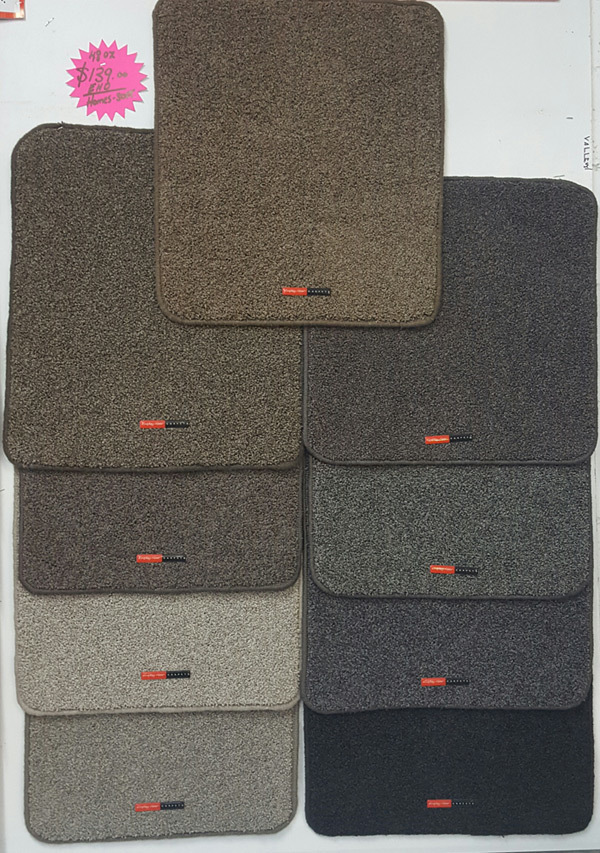 Carpet store Wellington installation & layer Porirua Upper Hutt